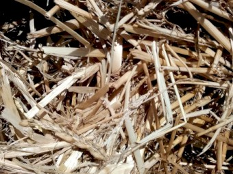 400 x Barley Straw Round Bales