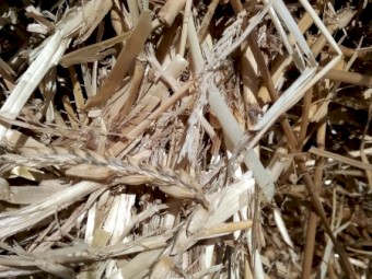 400 x Barley Straw Round Bales