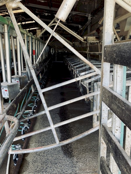 60 aside double up rapid exit dairy FORSALE