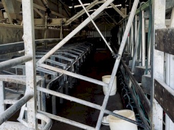 60 aside double up rapid exit dairy FORSALE