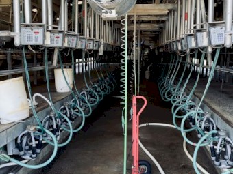 60 aside double up rapid exit dairy FORSALE