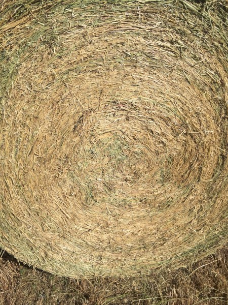 Clover & Rye Hay 400kg 5x4 Rolls