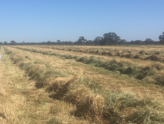 Clover & Rye Hay 400kg 5x4 Rolls