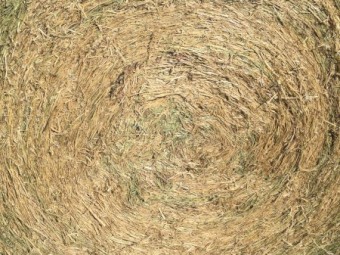 Clover & Rye Hay 400kg 5x4 Rolls