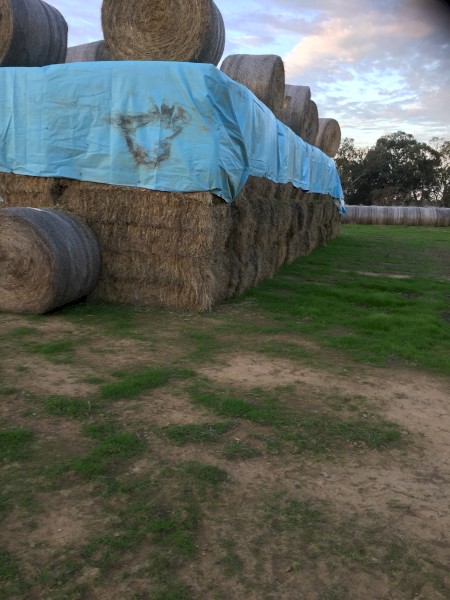 Clover Hay 400kg 8x4x3 Bales