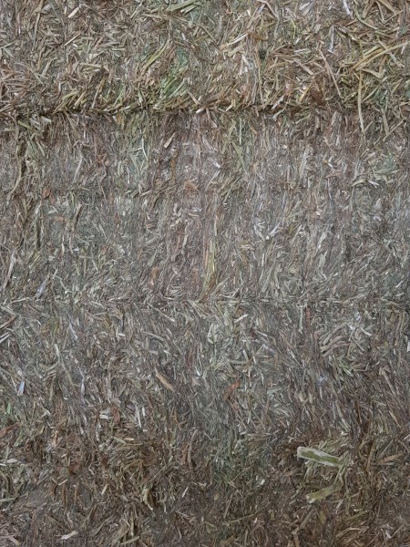 Shedded Vetch Hay ME 8.78 CP19.80 NDF 43.90 oct 2020 baled