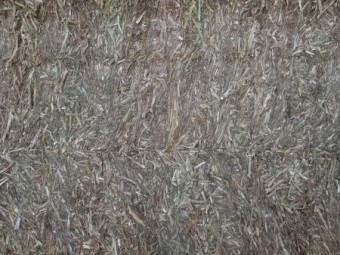 Shedded Vetch Hay ME 8.78 CP19.80 NDF 43.90 oct 2020 baled