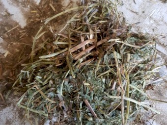 Shedded Vetch Hay ME 8.78 CP19.80 NDF 43.90 oct 2020 baled