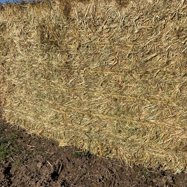 200mt Oaten Hay 8x4x3 Bales