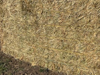 200mt Oaten Hay 8x4x3 Bales