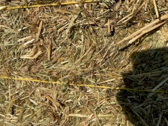 200mt Oaten Hay 8x4x3 Bales