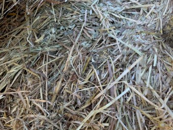 200mt Oaten Hay 8x4x3 Bales