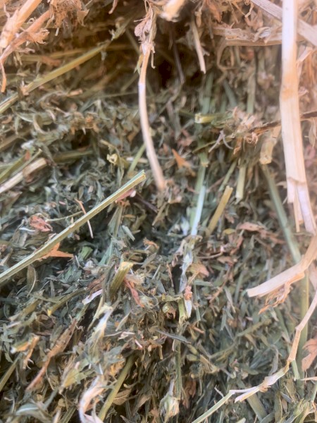 120mt Lucerne Hay 600kg 8x4x3 Bales