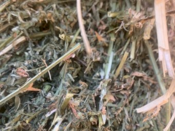 120mt Lucerne Hay 600kg 8x4x3 Bales