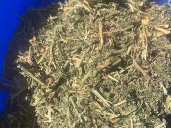 120mt Lucerne Hay 600kg 8x4x3 Bales