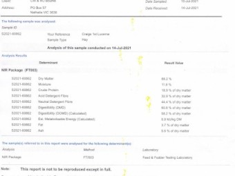 120mt Lucerne Hay 600kg 8x4x3 Bales