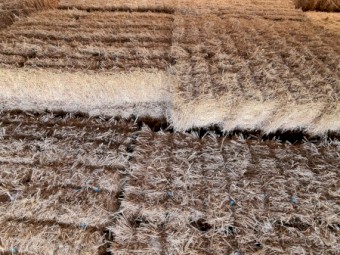 Lucerne Pasture Hay Small Square Bales