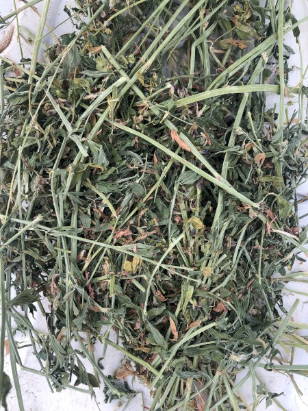 Lucerne Hay 5x4 Round Bales x 290