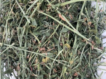 Lucerne Hay 5x4 Round Bales x 290