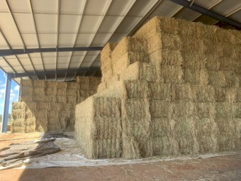 80mt Oaten Hay 8x4x3 Bales