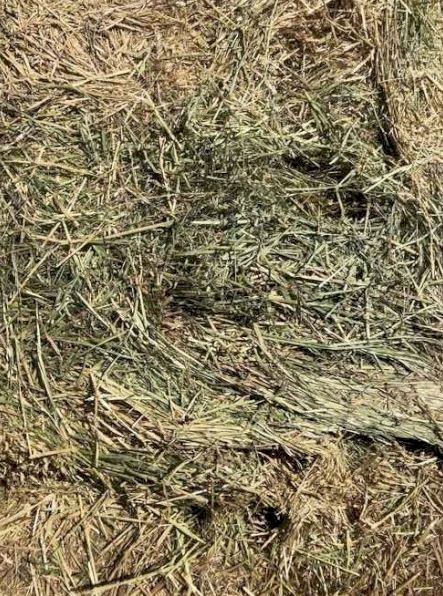 Oaten Hay 650Kg 8x4x3 Bales