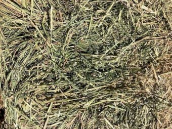 Oaten Hay 650Kg 8x4x3 Bales