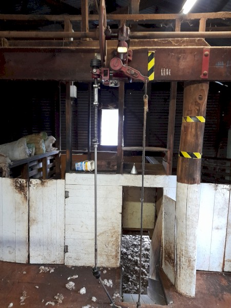 Vintage shearing plant