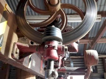 Vintage shearing plant