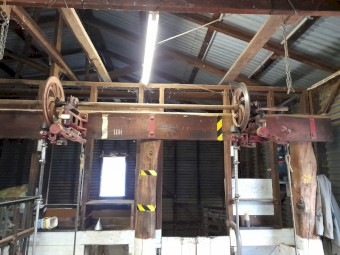 Vintage shearing plant