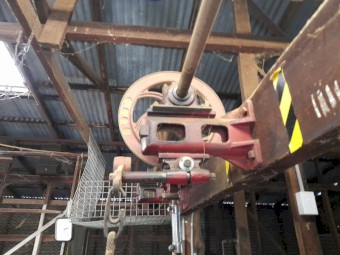 Vintage shearing plant