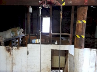 Vintage shearing plant