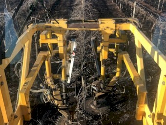 2000 model Gregoire G120 with Pruner