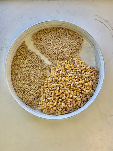 Cleaned Feed Barley, Feed Oats, Feed Maize