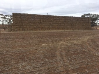 40mt Oaten Hay 620kg 8x4x3 Bales
