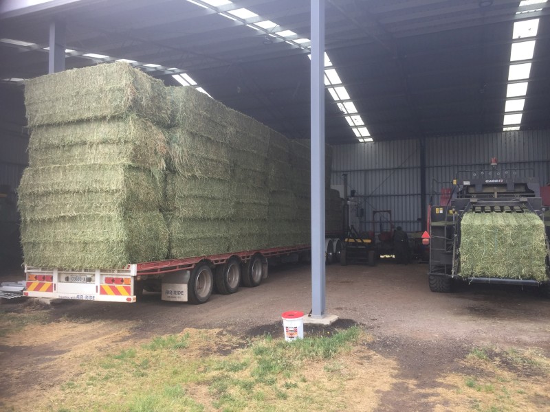 Lucerne Hay 580kg 8x4x3 Bales Farm Tender