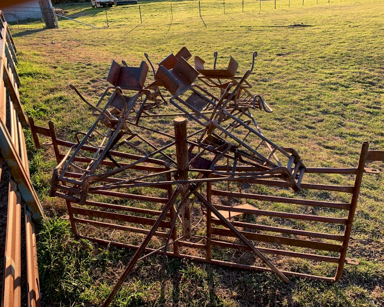 Lamb Marking Cradle Farm Tender