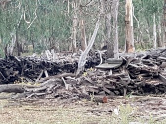 WANTED Sleeper Backs/Round Backs