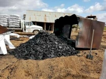 WANTED Sleeper Backs/Round Backs