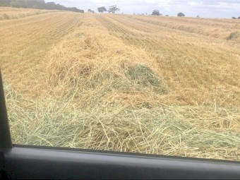 Oaten Hay 650-700kg 8x4x3 Bales