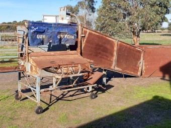 Henry Young Gun Crutcher