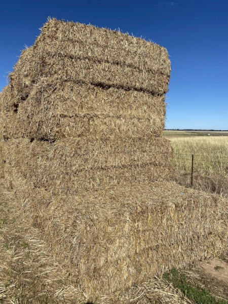 126 x Wheaten Straw 8x4x3 Bales