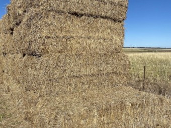 126 x Wheaten Straw 8x4x3 Bales