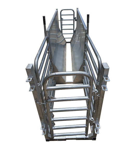 Under Auction - (A156)  Sheep Draft 