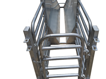 Under Auction - (A156)  Sheep Draft 