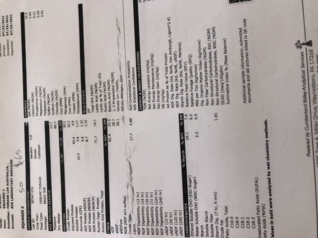 50 x Lucerne Hay 8x4x3 Bales