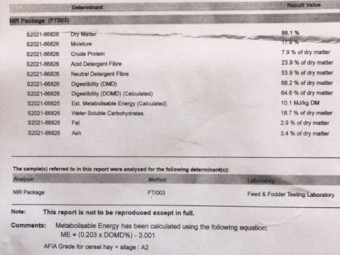 110 x Wheaten Hay 340kg 5x4 Rolls