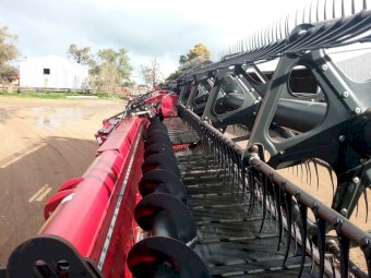 2003 Case IH 2388 Exclusive