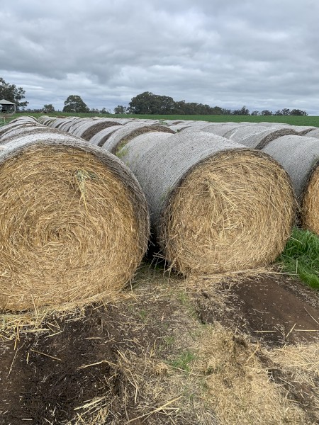 Oaten Hay Round Rolls 5x4