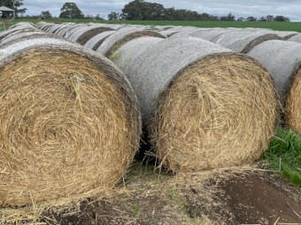 Oaten Hay Round Rolls 5x4