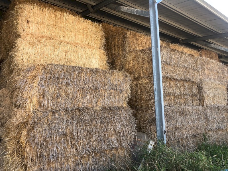 2020 Barley Straw 8x4x3